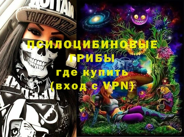 apvp Магас