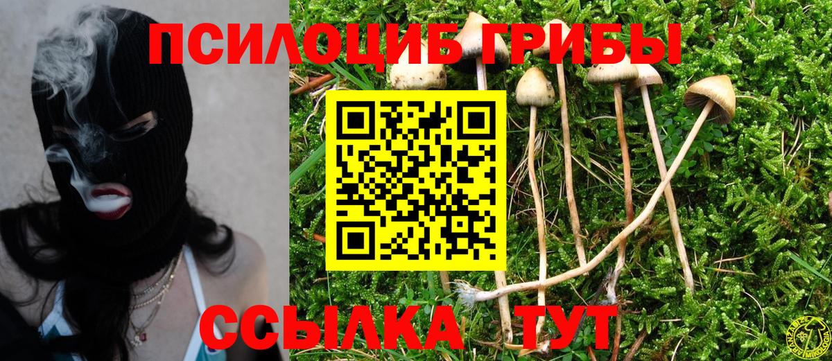 Галлюциногенные грибы прущие грибы Сочи