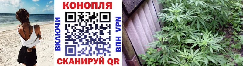 Бошки марихуана сатива Сочи